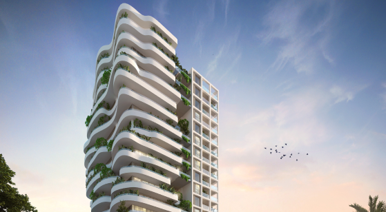 Real estate development