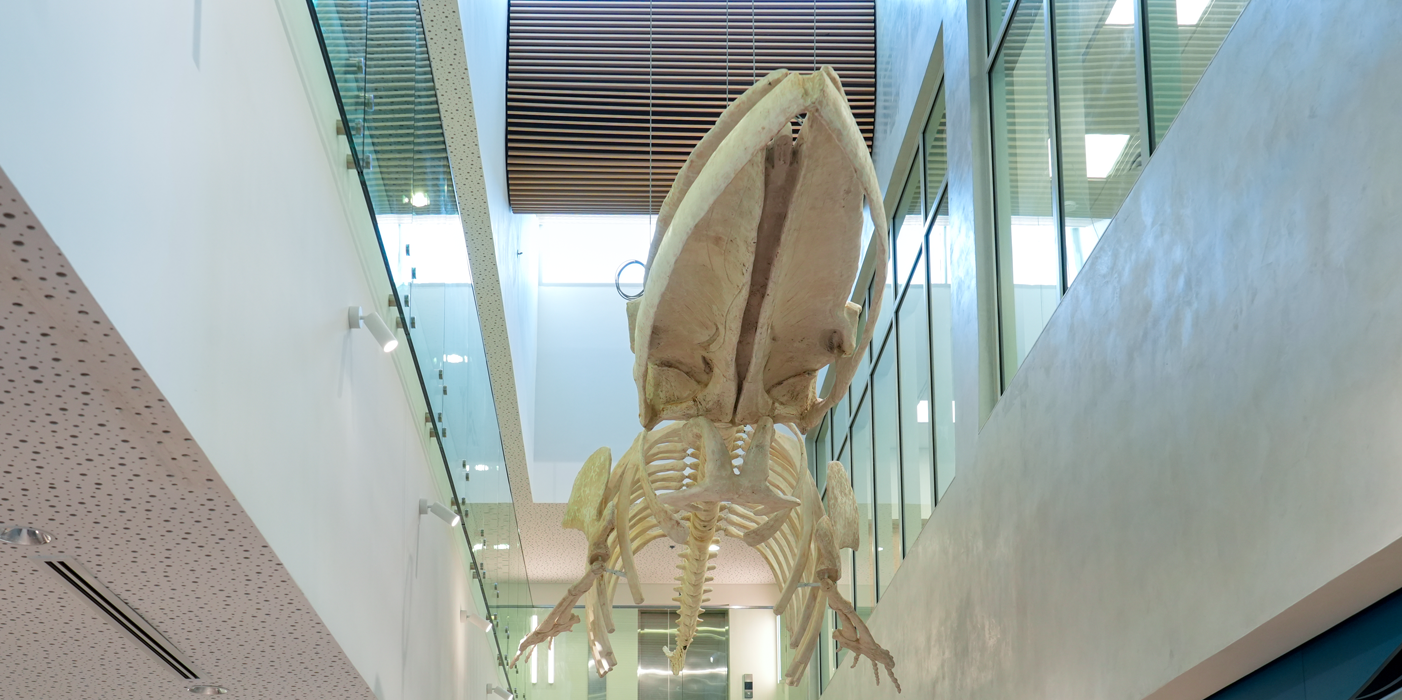 MARINE RESEARCH INSTITUTE