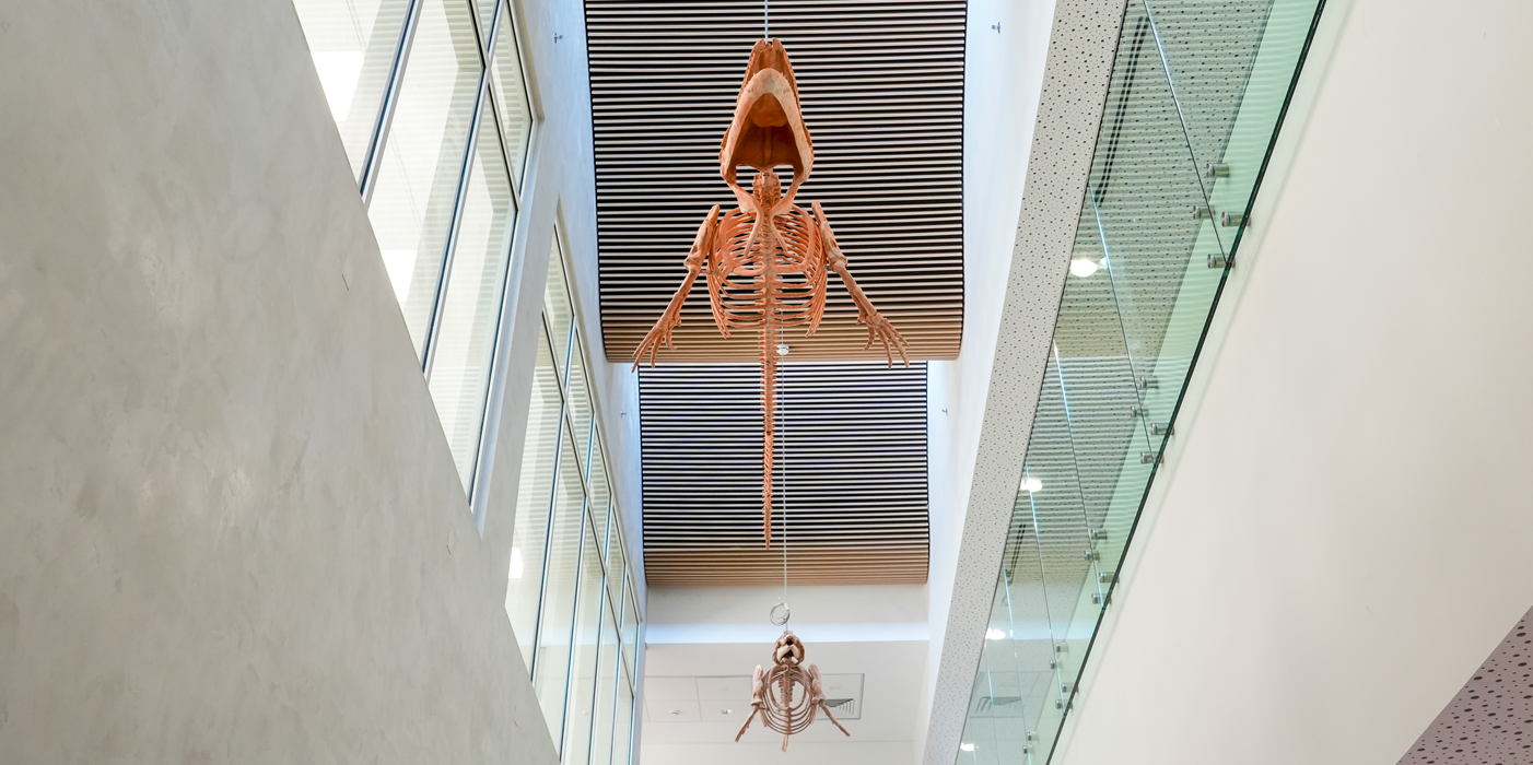 MARINE RESEARCH INSTITUTE